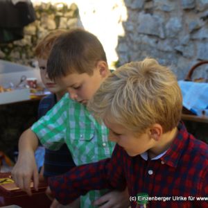74-IMG 3534
