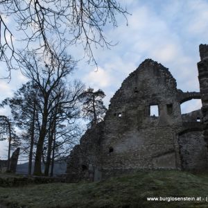 ruine losenstein 4 druck.JPG