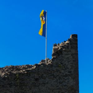 02-IMG 3558