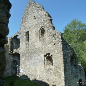 20150716 Burgruine Losenstein (41).JPG