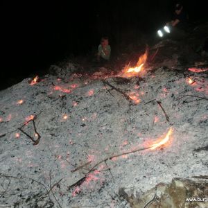 CIMG6223.JPG