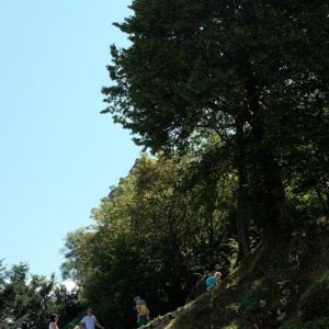 DSCF7450-3367993131-O-001