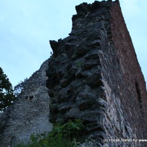 IMG 1183.JPG